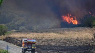Incendie dans l'Aude : l'homme suspecté de ne pas avoir bien éteint son tournebroche mis en examen