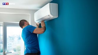 Bureaux, écoles, hôpitaux... Quels bâtiments sont équipés de climatisation en France ? | TF1 INFO