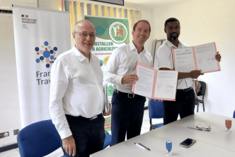 Les entrepreneurs peinent à recruter du personnel qualifié en Guyane