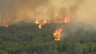 Incendies dans l'Aude : il roulait sans permis ni assurance, un homme suspecté d'avoir mal éteint son barbecue placé en détention
