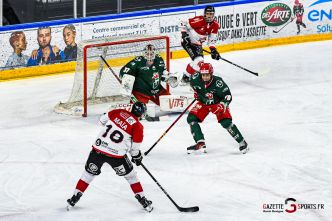 HOCKEY SUR GLACE – Ligue Magnus : Les Gothiques à Cergy-Pontoise en ouverture du championnat