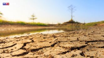 Sécheresse : de premières restrictions d'eau annoncées dans le Tarn-et-Garonne | TF1 INFO