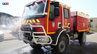 Incendies en Corse : plus de 200 hectares détruits sur l'île, probablement à cause de la foudre | TF1 INFO