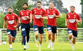 Retour de joueurs, ambitions pour la saison prochaine... : cinq choses à savoir sur la reprise du Stade Brestois