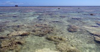Madagascar veut que la France rétrocède les îles Éparses, mais le processus s'enlise