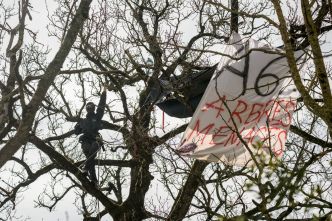 Entrave au chantier de l'A69: 16 opposants condamnés à des amendes avec sursis