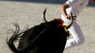 Course camarguaise : les prix pour Nonchalan (Lou Pantai) et R. Diaz dimanche 29 juin à Mudaison (Avenir)
