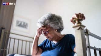 Canicule : un logement sur trois est une "bouilloire thermique", un fléau qui touche "de plus en plus de monde"  | TF1 INFO