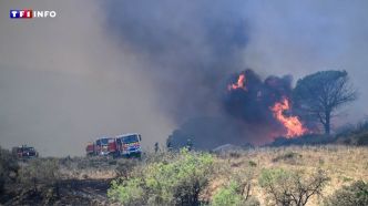 Sans permis et déjà condamné : ce que l'on sait de l'homme mis en examen après les incendies dans l'Aude | TF1 INFO