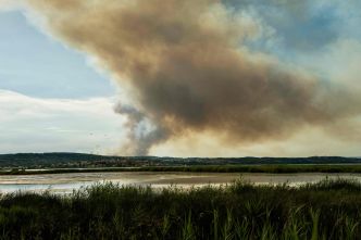 Incendie dans l'Aude : le suspect, qui transportait un barbecue mal éteint, mis en examen et placé en détention provisoire