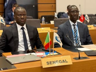 Photos / Conseil de l'Organisation mondiale des Douanes (OMD) 2025 : Babacar Mbaye, DG des Douanes plaide pour des pratiques douanières respectueuses de l'environnement