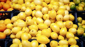 N’achetez plus ces citrons en supermarché s’ils viennent de ces 2 pays, ils sont bourrés de pesticides