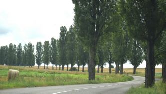 L'avis de recherche pour disparition inquiétante date de 2023 : une femme retrouvée morte deux ans après sa mystérieuse quête de pierres sur la route