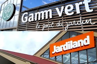 Partage de la donnée marketing, l'initiative de Teract, maison mère de Gamm Vert et Jardiland