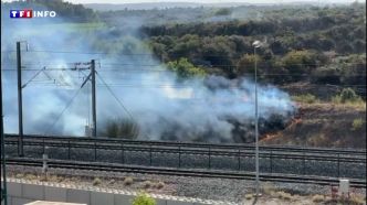 "Ça s'est vraiment développé très vite" : un incendie dans le Gard mobilise une centaine de pompiers | TF1 INFO