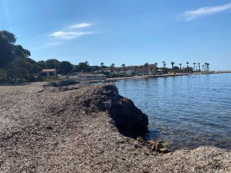Envahie par les posidonies, cette plage de Saint-Mandrier est au cœur d'une polémique entre le maire et son opposition