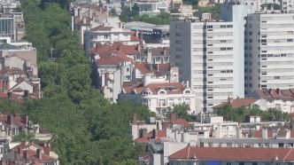 Végétalisation massive, moins de bitume dans les écoles... Lyon investit face au réchauffement climatique