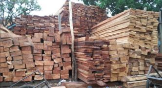 Guinée : le gouvernement suspend la coupe et le transport de bois