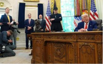 Trump et Musk : Menaces d’expulsion et de sanctions financières