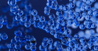 «Ce qui nous a étonnés, c'est à quel point ils sont répandus» : les microplastiques envahissent les organes reproducteurs