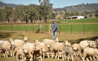 Australie : le secteur de l'élevage et de la viande renonce à ses objectifs climatiques