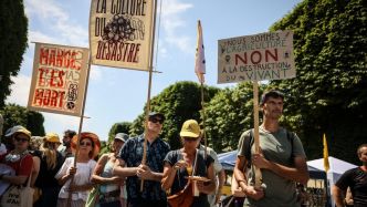 Réintroduction d'un pesticide, stockage d'eau facilité : malgré un compromis trouvé, le nouveau texte de la loi Duplomb reste décrié