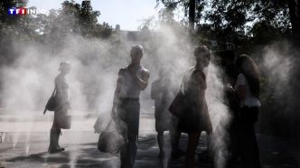 EN DIRECT - Canicule : la vigilance rouge maintenue pour 4 départements, 55 en orange | TF1 INFO