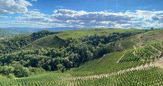 Le Rhône septentrional rêve de l'Unesco