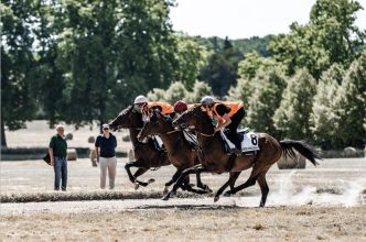 Quatorze médaillés d’or aux finales nationales du Concours MAF – Métiers du cheval 2025