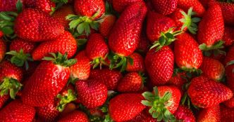 Ne jetez plus vos fraises trop mûres : nos astuces pour éviter le gâchis