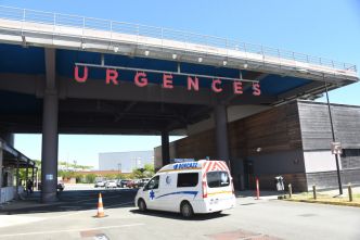 128 cas et 113 hospitalisations : recrudescence de la leptospirose en Nouvelle-Calédonie