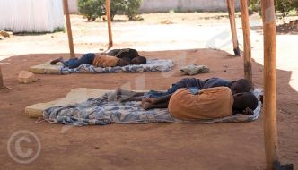Centre de Munzenze : Des pensionnaires étranges
