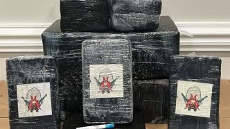 « Des poissons carrés » : une baigneuse trouve un demi-million de dollars de cocaïne échoué sur une plage en Floride