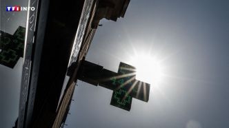 De nombreux records battus mardi, où a-t-il fait le plus chaud en France ? | TF1 INFO