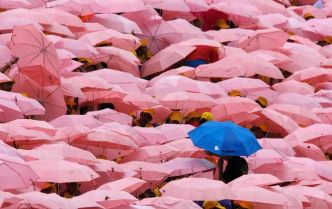 Sexe, genre et éducation sexuelle : quand l'Etat se prend les pieds dans le tapis des revendications militantes