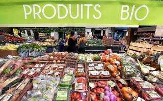 Les agriculteurs bio dénoncent un « hold-up » sur une partie de leurs aides européennes