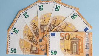 Il assurait pouvoir multiplier les billets de 50 euros en les faisant bouillir, un escroc soutire 220 000 euros à son « amoureuse »
