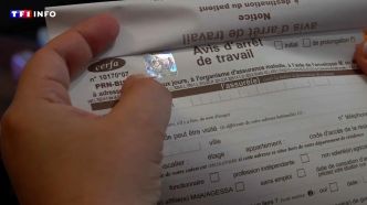 Arrêts maladie : à quoi ressemble le nouveau formulaire anti-fraude de la Sécurité sociale ? | TF1 INFO