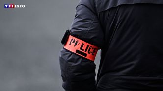 Un projet d'attentat d'un masculiniste se revendiquant de la mouvance "Incel" déjoué | TF1 INFO