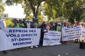 Le collectif pour le rétablissement de la ligne Réunion-Moroni reçu par la Région