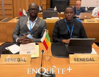 Environnement et douanes