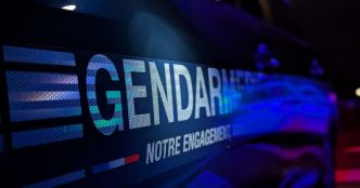 Drôme. Ivre, il fait un "chat bite” à un gendarme et frappe violemment deux autres militaires