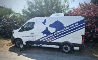 Elle crée une "ambulance pour animaux" dans le Var pour aider les propriétaires de chiens et de chats
