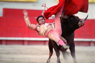 L'avenir économique de la corrida "se pose" en France, selon un rapport