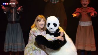 "Ça me fait beaucoup de peine" : Chantal Goya, déterminée à retrouver la tête de son Pandi Panda, porte plainte pour vol | TF1 INFO