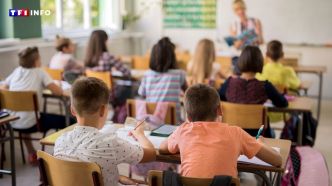 Canicule à l'école : faut-il modifier les dates des vacances scolaires ? | TF1 INFO