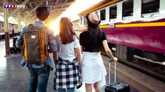 SNCF : prendre le train est-il devenu un luxe ? | TF1 INFO