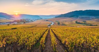 La Bourgogne fête les "Climats", l'âme de ses vins