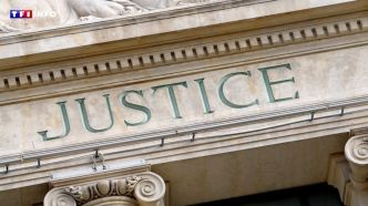 Agression sexuelle, tentatives d'enlèvement : la mère d'une adolescente en situation de handicap lance un appel à victimes | TF1 INFO