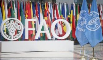 La FAO obtient 222 millions $ pour renforcer la résilience agricole climatique au Sahel